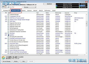 如何停止Task Manager Deluxe中的軟件服務(wù)進(jìn)程